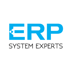 ERP System Experts